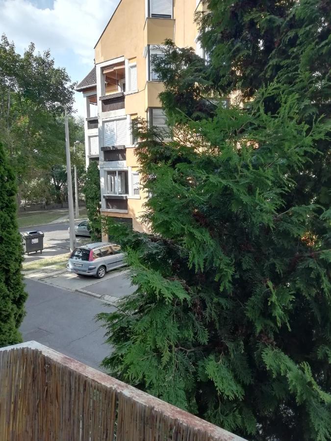 Rokus Apartman Szeged Exterior foto